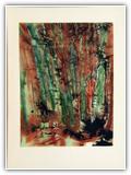 (ohne Titel) | Nr. 3093 | undatiert | Zyklus: Mitteleuropa, Wald, Feld | Aquarell/Tuschfeder | 57,5 x 44 (Rahmen: 75 x 55)